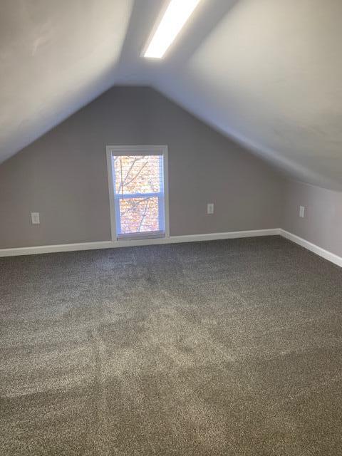 bonus room featuring carpet floors and lofted ceiling