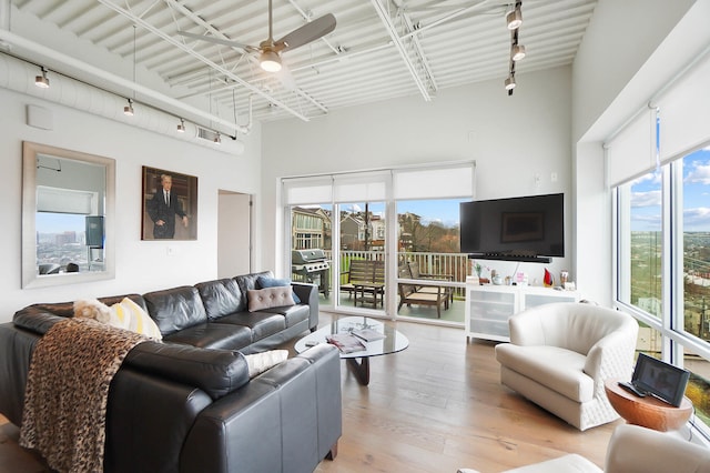 living room with a wealth of natural light, ceiling fan, track lighting, and hardwood / wood-style flooring