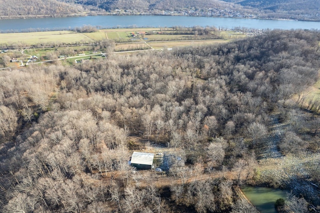 drone / aerial view featuring a rural view and a water view