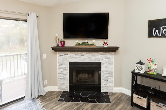 details featuring hardwood / wood-style floors and a fireplace