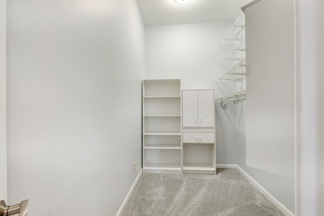 walk in closet with light colored carpet