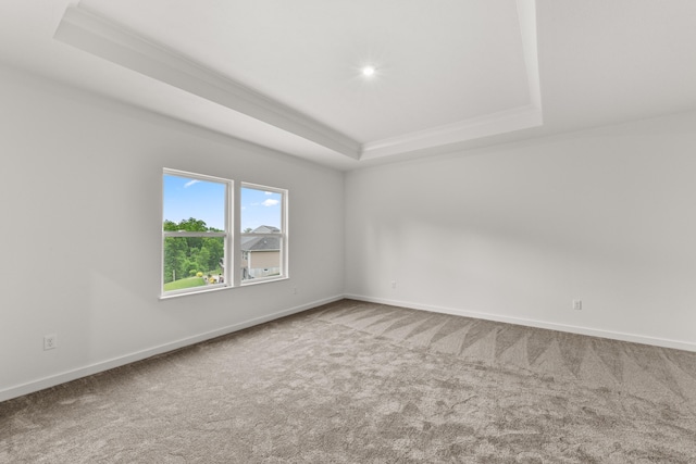 2516 Winners Post Way, Burlington, KY 41005 - spare room with a raised ceiling, carpet floors, baseboards, and ornamental molding