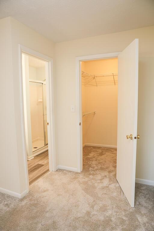 interior space featuring a walk in closet, light colored carpet, and a closet