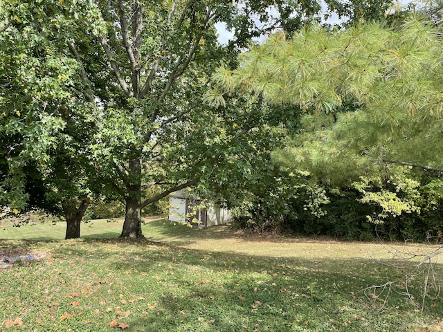 view of yard with a storage unit