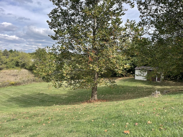 view of yard with a shed