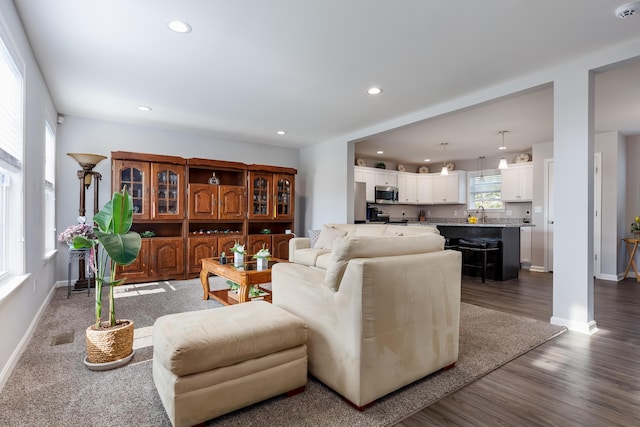 living room featuring dark hardwood / wood-style floors