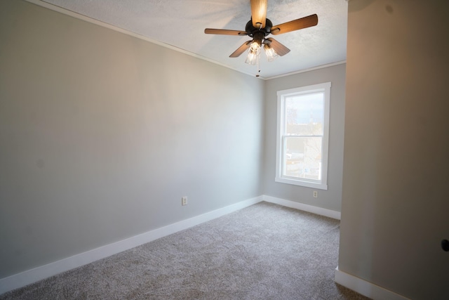 carpeted spare room with ceiling fan and ornamental molding