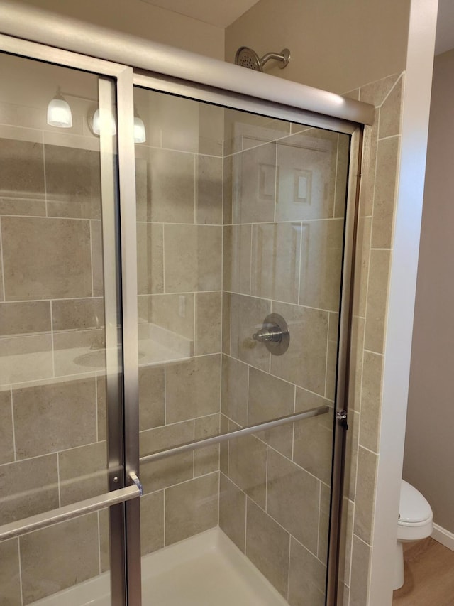 full bathroom featuring a shower stall and toilet