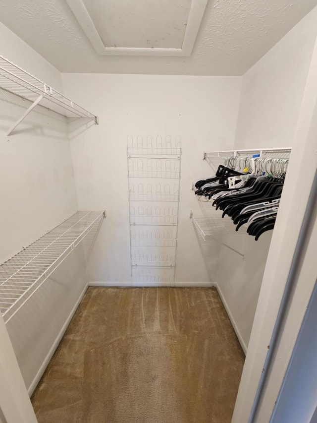 walk in closet with carpet floors