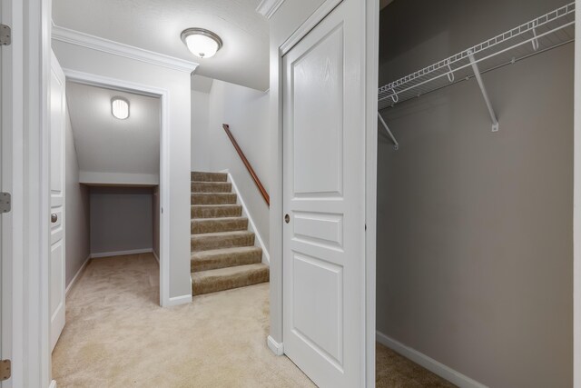 4212 Country Mill Rdg, Burlington, KY 41005 - interior space