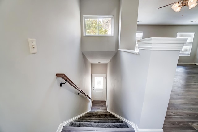 stairway with wood-type flooring