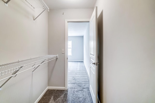 walk in closet featuring dark colored carpet