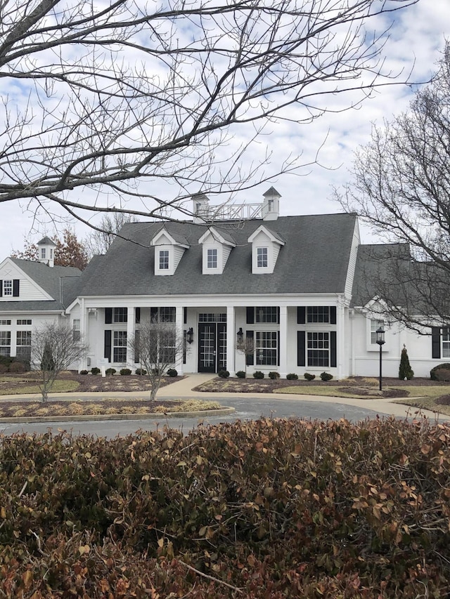 view of cape cod house