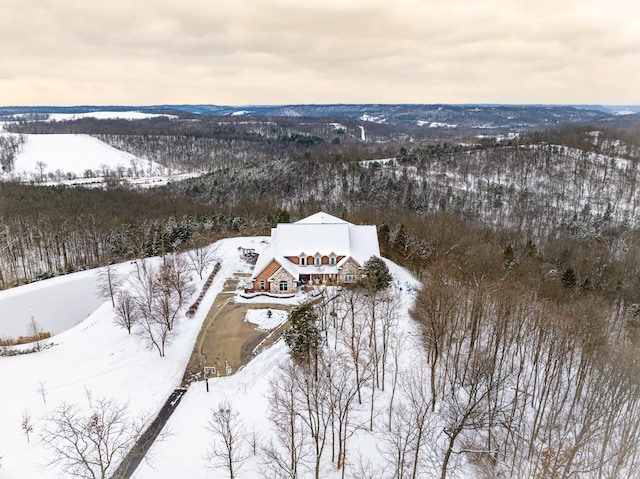 view of snowy aerial view