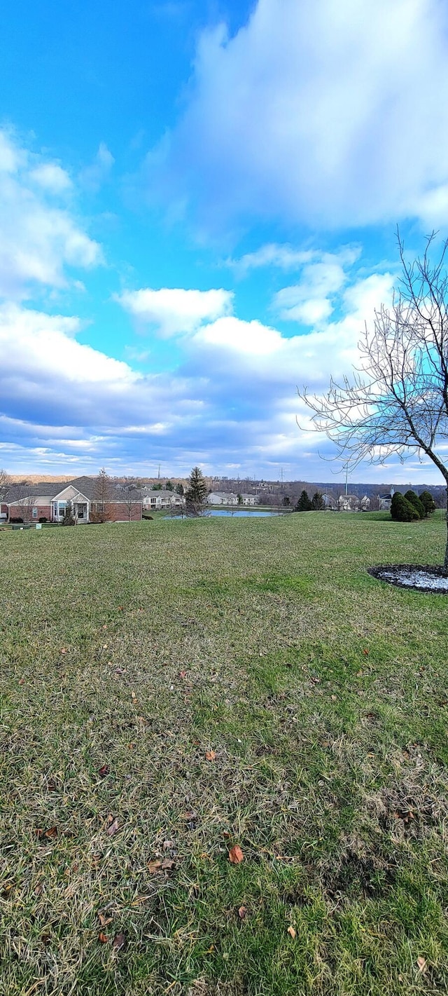 view of yard with a rural view