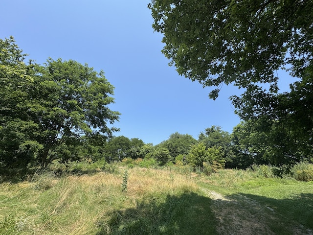 4681 US Highway 62, Mays Lick, KY 41055 - photo 5