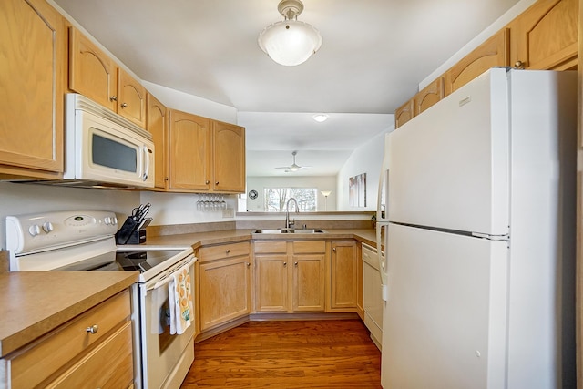 kitchen with ceiling fan, sink, light brown cabinets, dark wood-type flooring, and white appliances