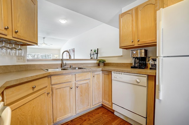 kitchen featuring ceiling fan, sink, light brown cabinets, dark hardwood / wood-style floors, and white appliances