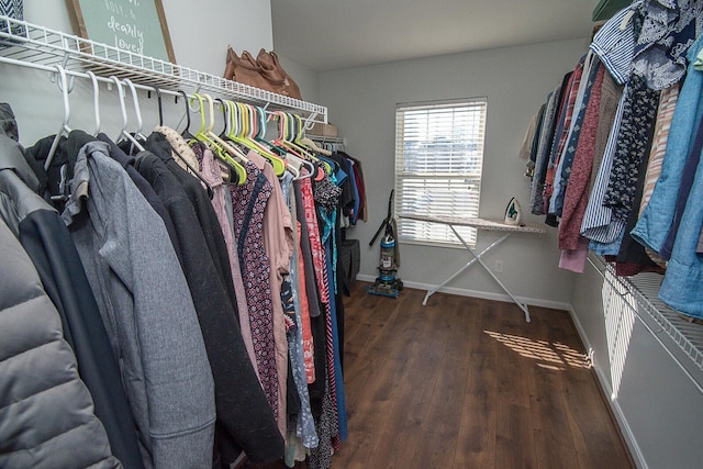 walk in closet featuring dark hardwood / wood-style floors