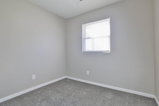 spare room with carpet floors