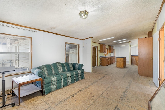 living area featuring a textured ceiling and ornamental molding