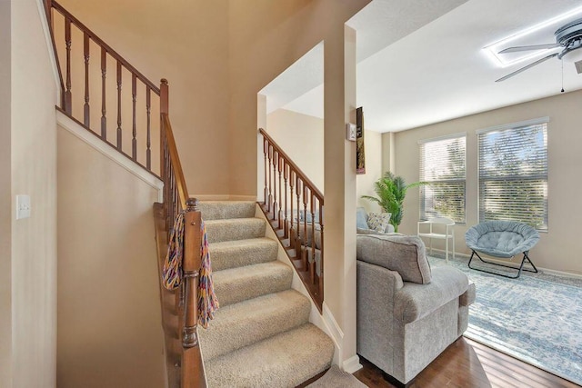 stairway featuring ceiling fan and hardwood / wood-style floors