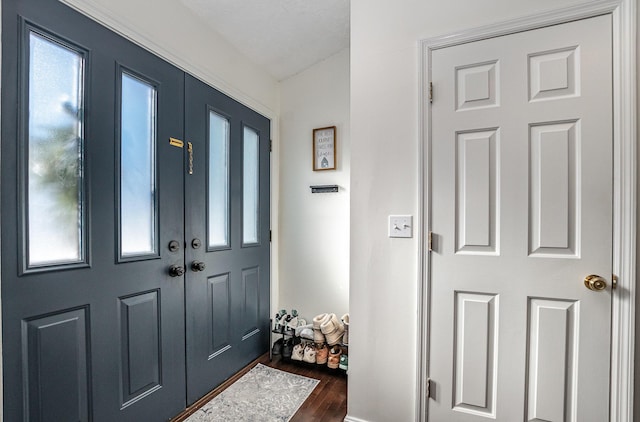 foyer featuring dark wood-type flooring