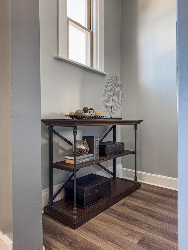 details featuring hardwood / wood-style floors