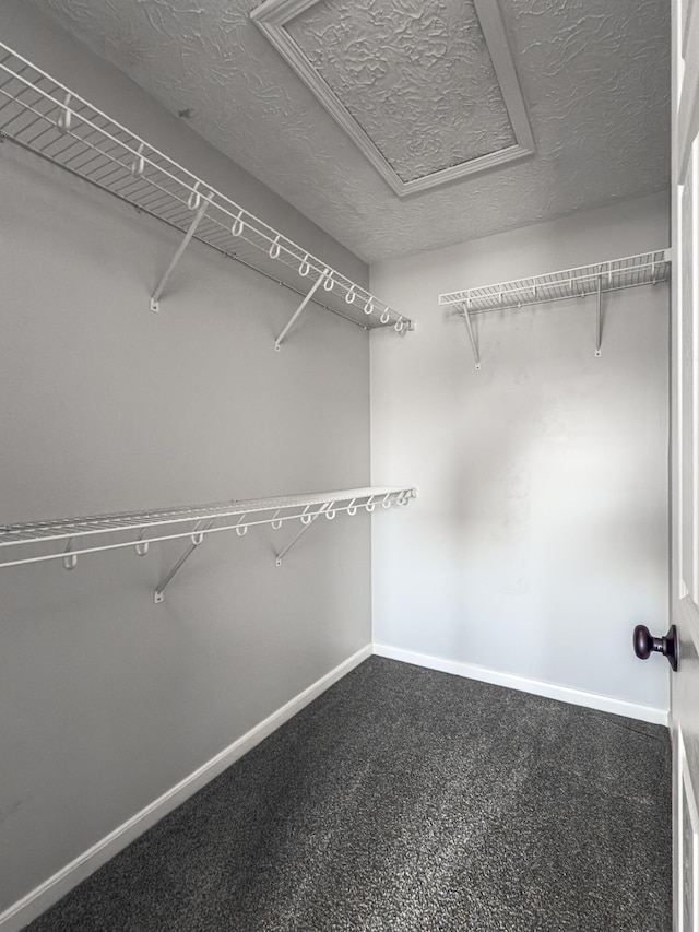 spacious closet with attic access