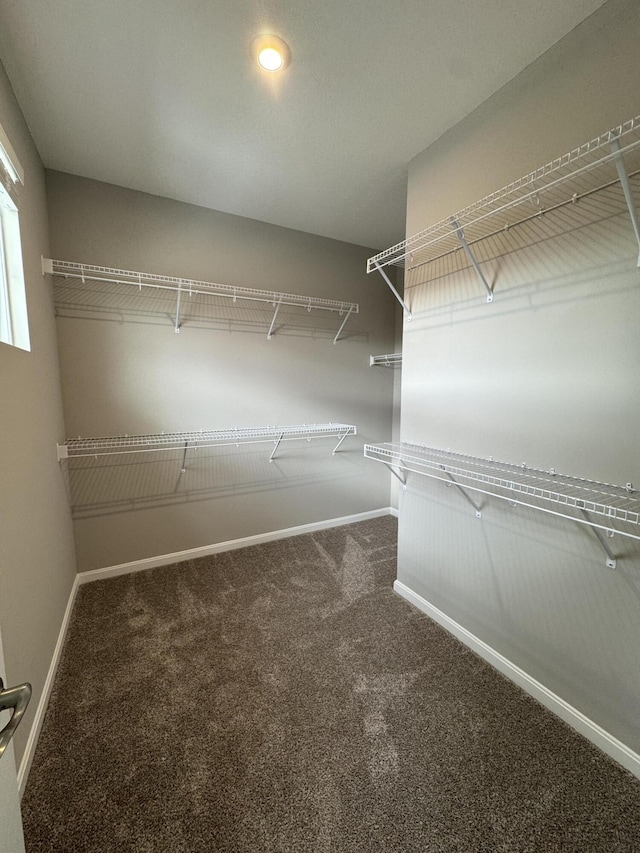 walk in closet featuring dark colored carpet