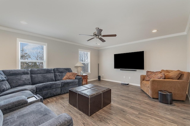 living room with ceiling fan, ornamental molding, and wood-type flooring