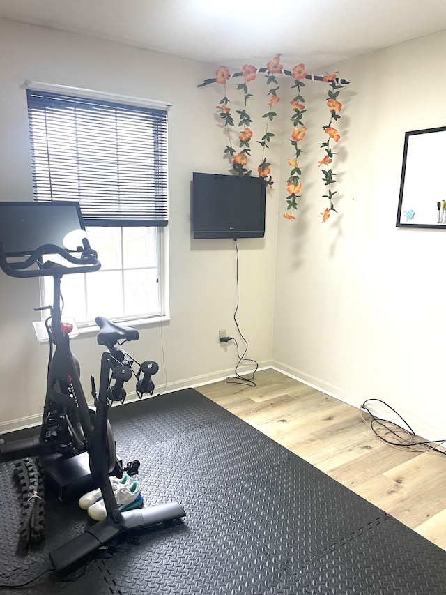 exercise area featuring hardwood / wood-style floors