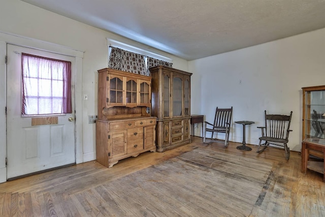 sitting room featuring hardwood / wood-style floors