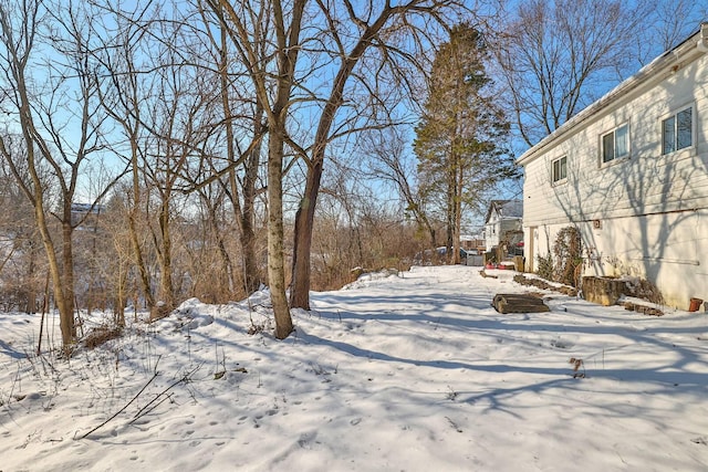 view of yard covered in snow