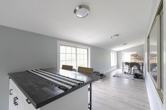 interior space with light wood-type flooring and lofted ceiling