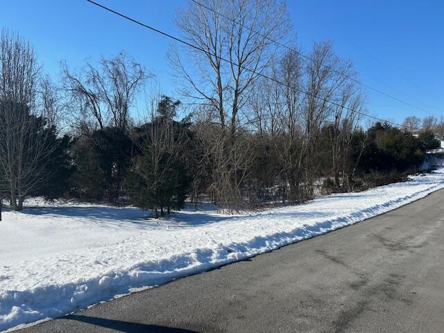 0 Ruths Ct, Falmouth KY, 41040 land for sale