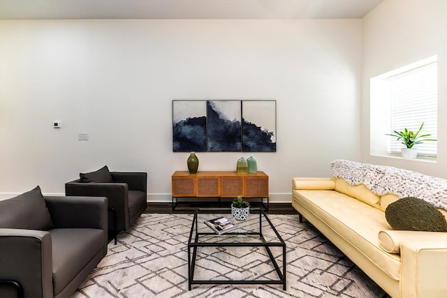 living room featuring hardwood / wood-style flooring