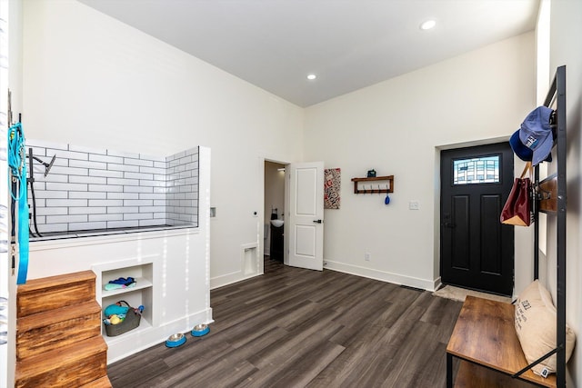 entryway featuring dark hardwood / wood-style floors