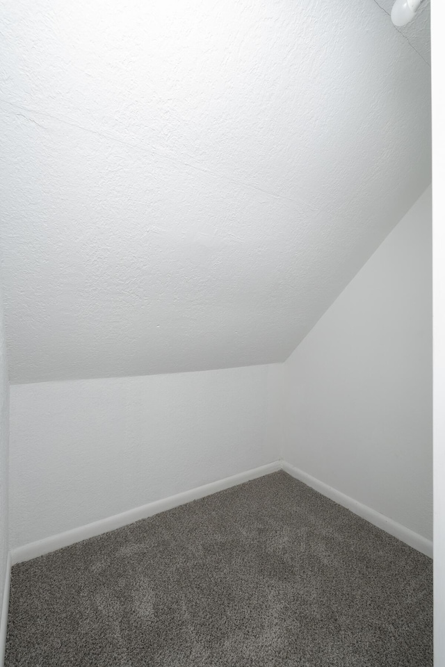 bonus room with carpet floors and vaulted ceiling