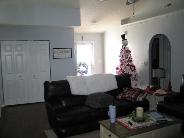 living room featuring a textured ceiling