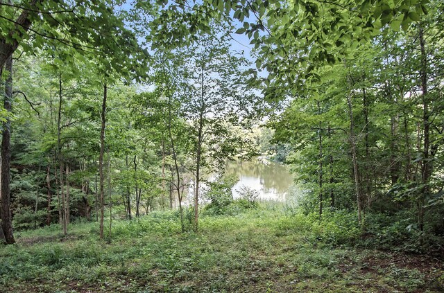 160 Langsdale Pt, Crittenden, KY 41030 - photo 11