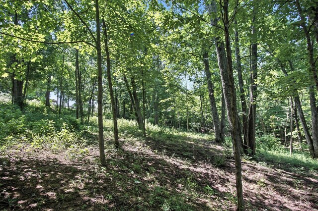 160 Langsdale Pt, Crittenden, KY 41030 - photo 12