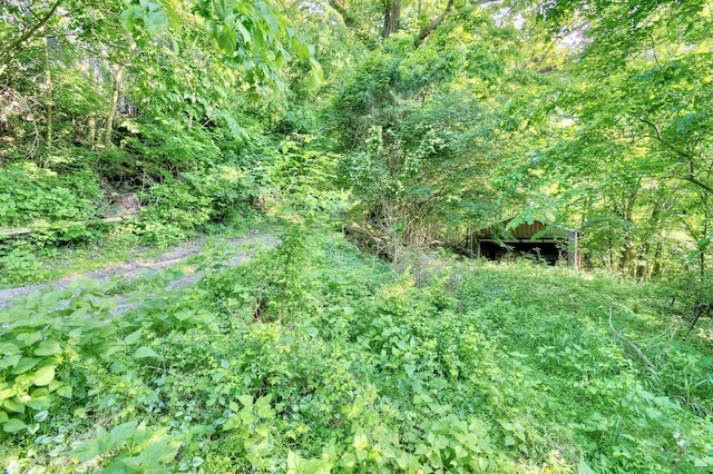 12376 Ryle Rd, Union, KY 41091