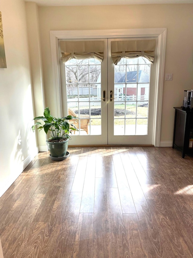 doorway featuring wood-type flooring and french doors