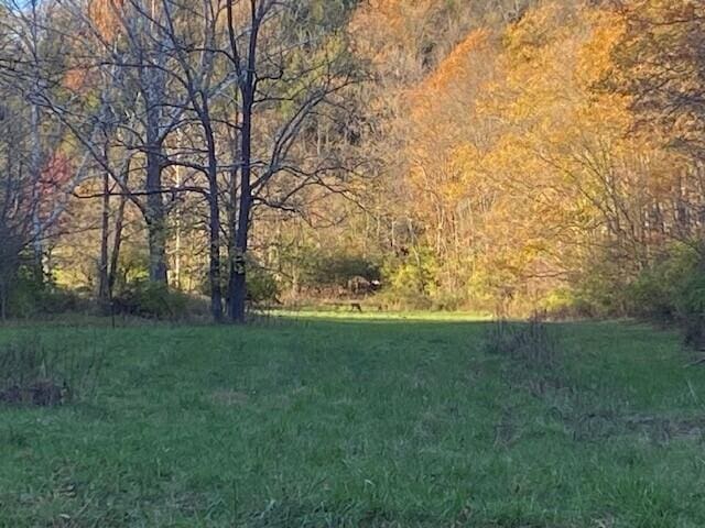 97 S Kennon Rd, Foster KY, 41043 land for sale