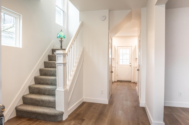 staircase featuring hardwood / wood-style floors and a healthy amount of sunlight