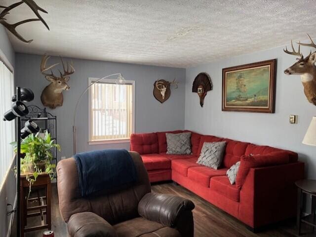 living room featuring a textured ceiling and dark hardwood / wood-style flooring