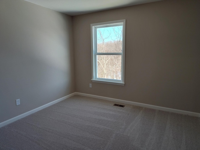 unfurnished room with carpet