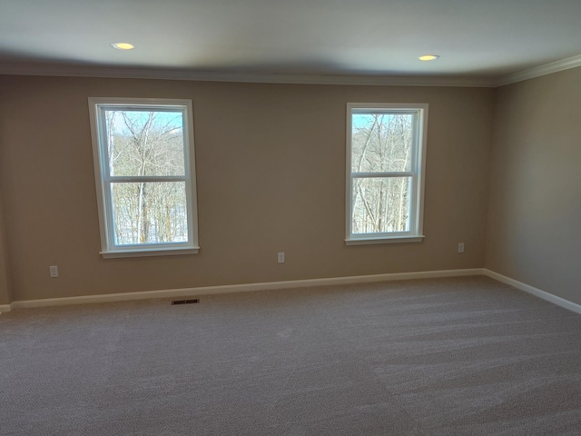 unfurnished room with crown molding and carpet