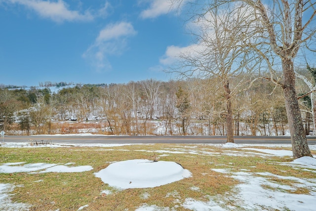 view of yard covered in snow